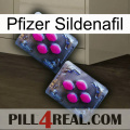 Pfizer Sildenafil 01